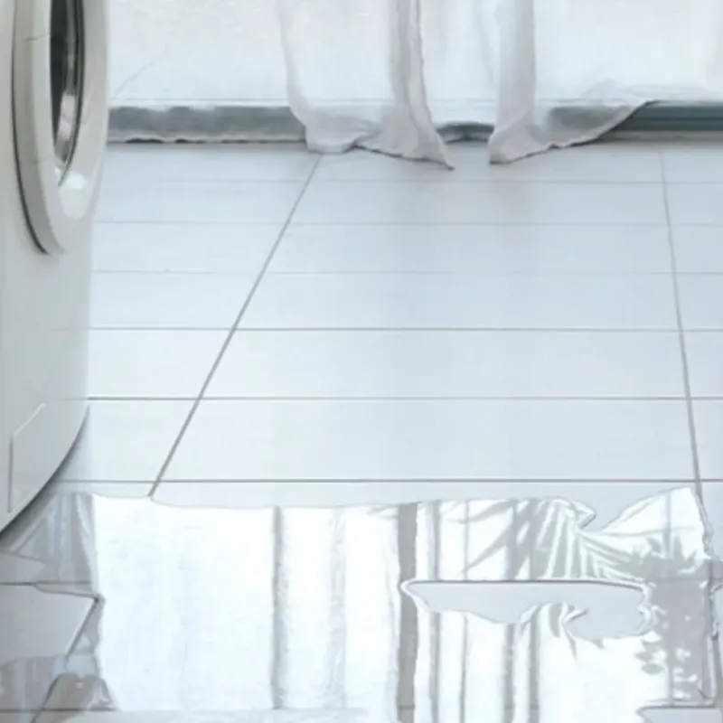 Appliance Leak Cleanup in Stephenson County, IL