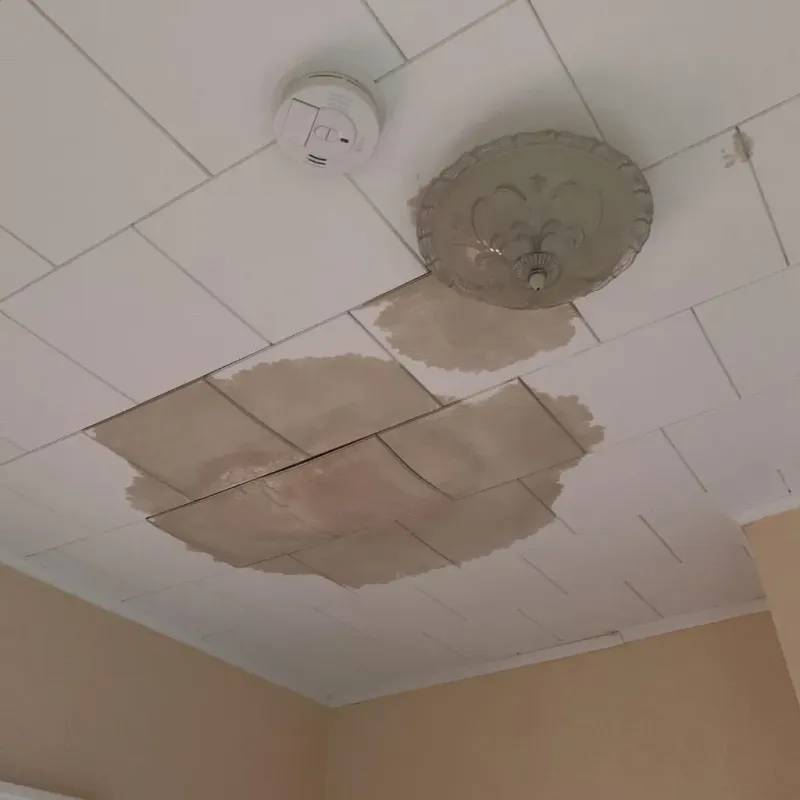 Ceiling Water Damage Repair in Stephenson County, IL
